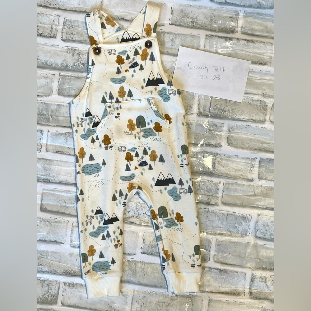 Little sleepies mountain print overalls